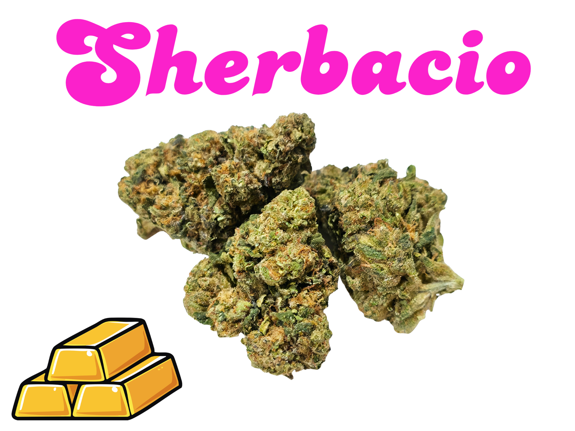 *NEW*Sherbacio- Gold Tier- THCa- Sativa / 1g